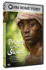 Watch Prince Among Slaves Myflixer