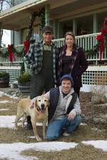 Watch Hallmark Hall of Fame A Dog Named Christmas Myflixer