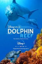 Watch Dolphin Reef Myflixer