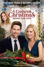 Watch A Godwink Christmas: Meant for Love Myflixer