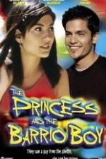 Watch The Princess & the Barrio Boy Myflixer