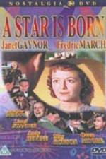 Watch A Star Is Born Myflixer