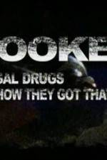 Watch Hooked: Illegal Drugs and How They Got That Way - Cocaine Myflixer