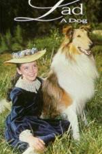 Watch Lad A Dog Myflixer