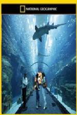 Watch National Geographic Megastructures Dubai Mega Mall Myflixer
