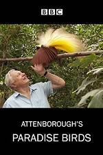 Watch Attenborough's Paradise Birds Myflixer