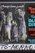 Watch The Blue Bird Myflixer