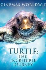 Watch Turtle The Incredible Journey Myflixer