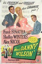 Watch Meet Danny Wilson Myflixer