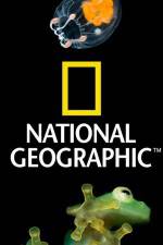 Watch National Geographic Wild Dam Beavers Myflixer