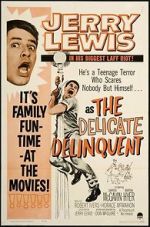 Watch The Delicate Delinquent Myflixer