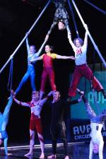 Watch Circus School Myflixer