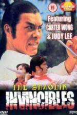 Watch Yong zheng ming zhang Shao Lin men Myflixer