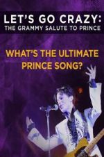 Watch Let\'s Go Crazy: The Grammy Salute to Prince Myflixer