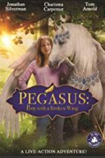 Watch Pony with a Broken Wing Myflixer