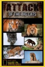 Watch National Geographic Attack Of The Big Cats Myflixer