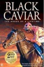 Watch Black Caviar The Races Myflixer