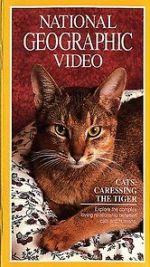 Watch Cats: Caressing the Tiger Myflixer