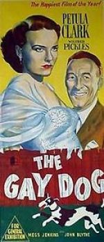 Watch The Gay Dog Myflixer