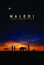 Watch Naledi: A Baby Elephant\'s Tale Myflixer