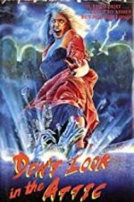 Watch Don\'t Look in the Attic Myflixer