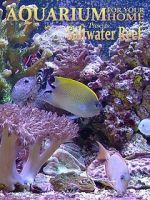 Watch Aquarium for Your Home: Saltwater Reef Myflixer