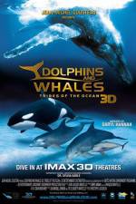 Watch Dolphins and Whales 3D Tribes of the Ocean Myflixer