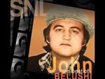 Watch Saturday Night Live: The Best of John Belushi Myflixer