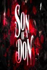 Watch Son of a Don Myflixer