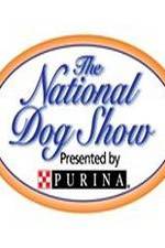 Watch National Dog Show Myflixer