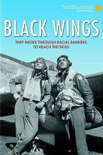 Watch Black Wings Myflixer
