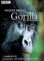 Watch Gorilla Revisited with David Attenborough Myflixer
