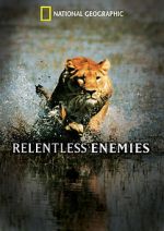 Watch Relentless Enemies Myflixer