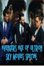 Watch Avengers Age of Ultron Sky Movies Special Myflixer
