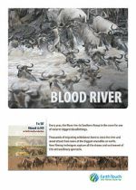 Watch Blood River Crossing Myflixer