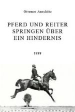 Watch Pferd und Reiter Springen über ein Hindernis Myflixer