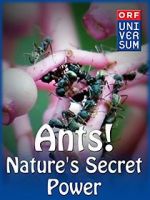 Watch Ants: Nature\'s Secret Power Myflixer