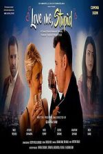 Watch Love Me Stupid Myflixer