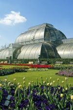Watch Cruickshank on Kew: The Garden That Changed the World Myflixer