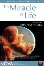 Watch The Miracle of Life Myflixer