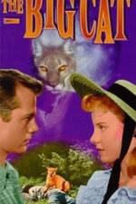 Watch The Big Cat Myflixer