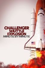 Watch Challenger Shuttle Disaster: Minute by Minute Myflixer