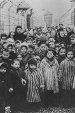 Watch AUSCHWITZ: LIBERATION AND REVENGE Myflixer