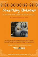 Watch Something Unknown Is Doing We Don't Know What Myflixer