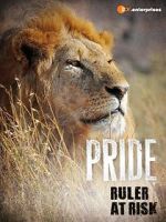 Watch Pride - Ruler\'s at Risk Myflixer