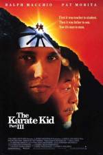 Watch The Karate Kid, Part III Myflixer