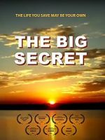 Watch The Big Secret Myflixer