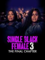 Watch Single Black Female 3: The Final Chapter Myflixer