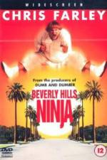 Watch Beverly Hills Ninja Myflixer