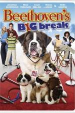 Watch Beethoven's Big Break Myflixer